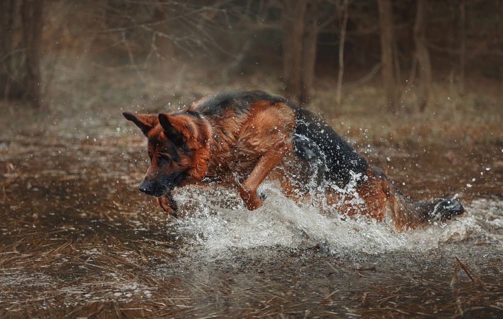 Фотография автора Онучина Юлия