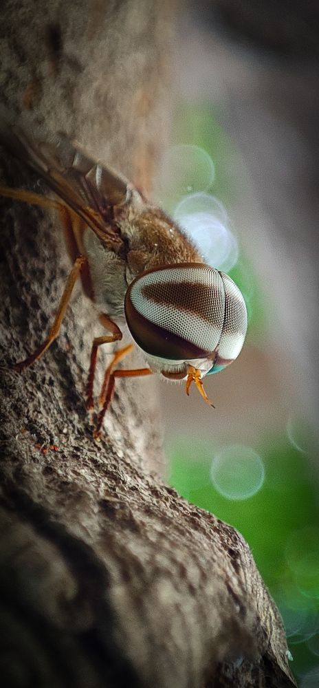 Photograph by Venki Venkatesh
