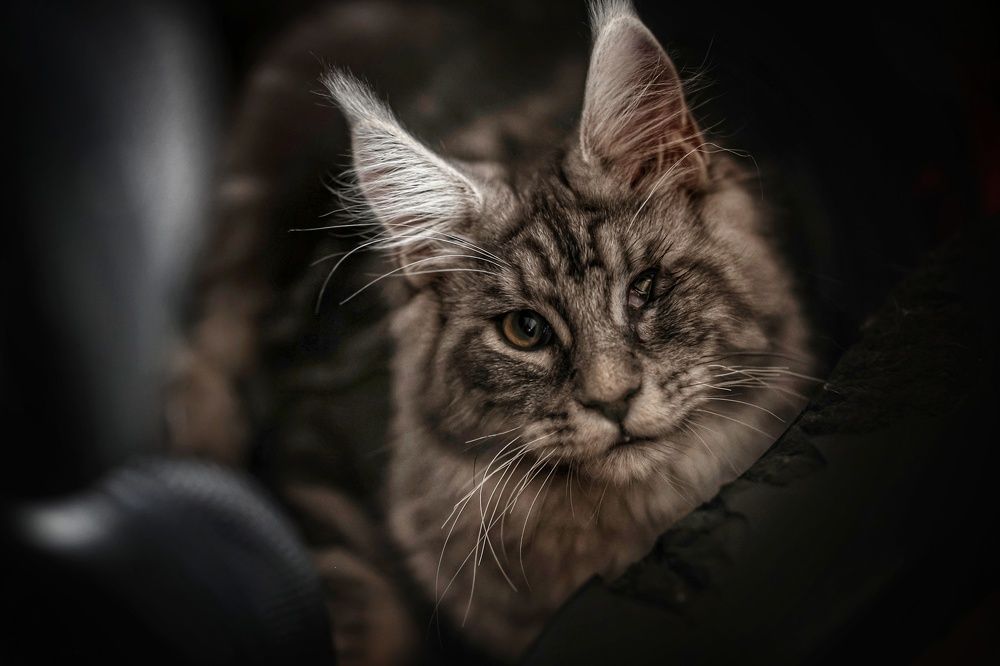 Photograph by Марина Иванова