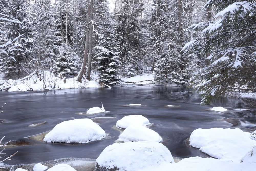 Фотография автора Ярослав Качура