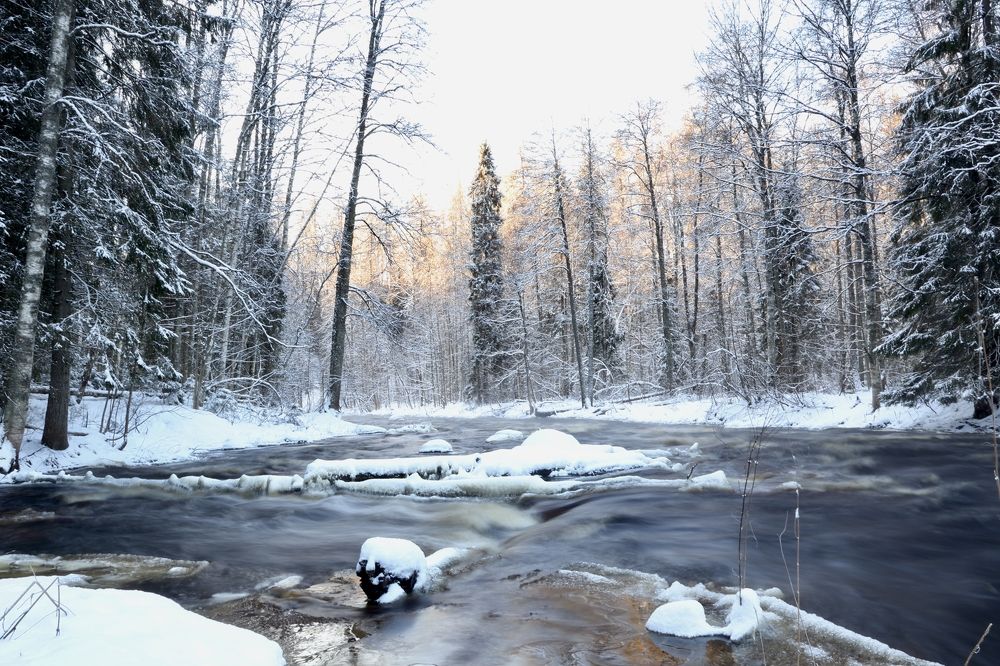 Рассвет над Линдуловской рощей