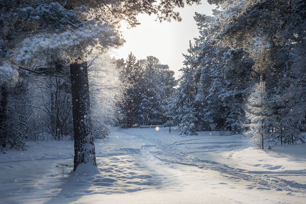 Photograph by Наталья Вторыгина