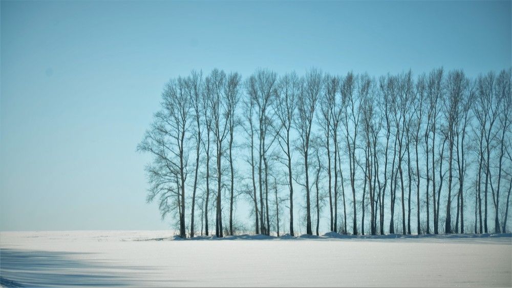 Photograph by Константин Баюн