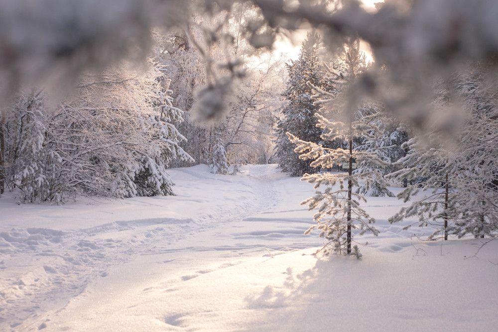 Photograph by Наталья Вторыгина