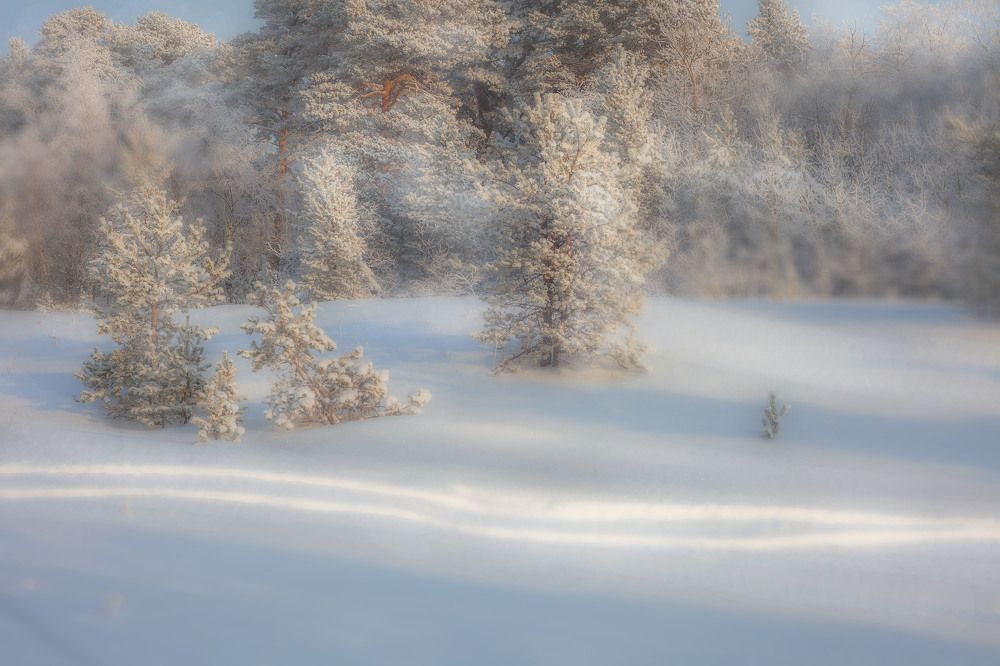 Photograph by Наталья Вторыгина