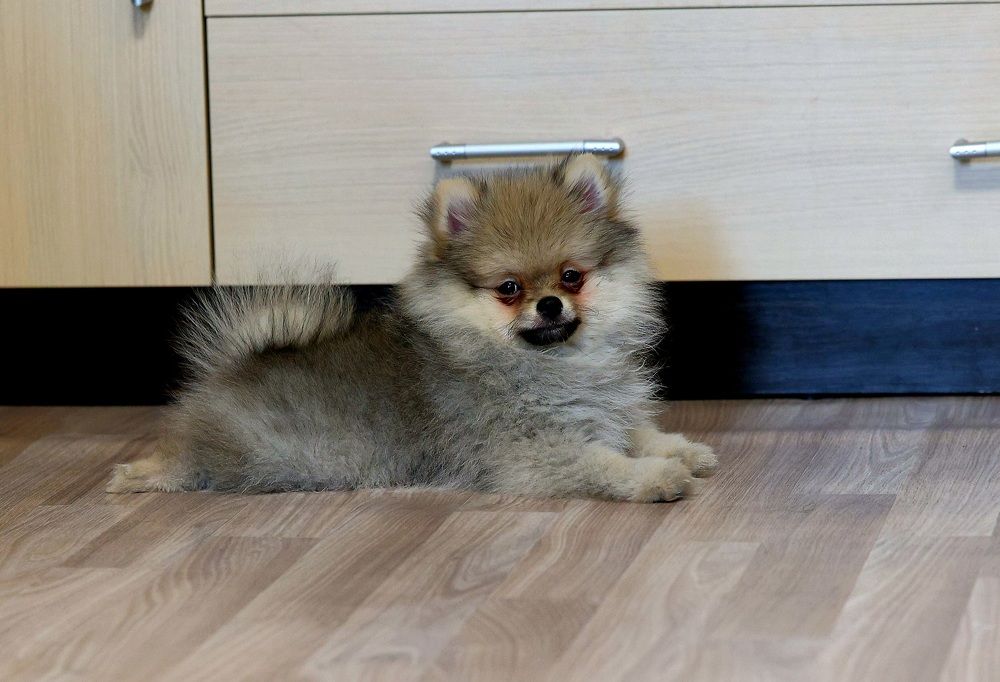 Photograph by Евгений Мельниченко