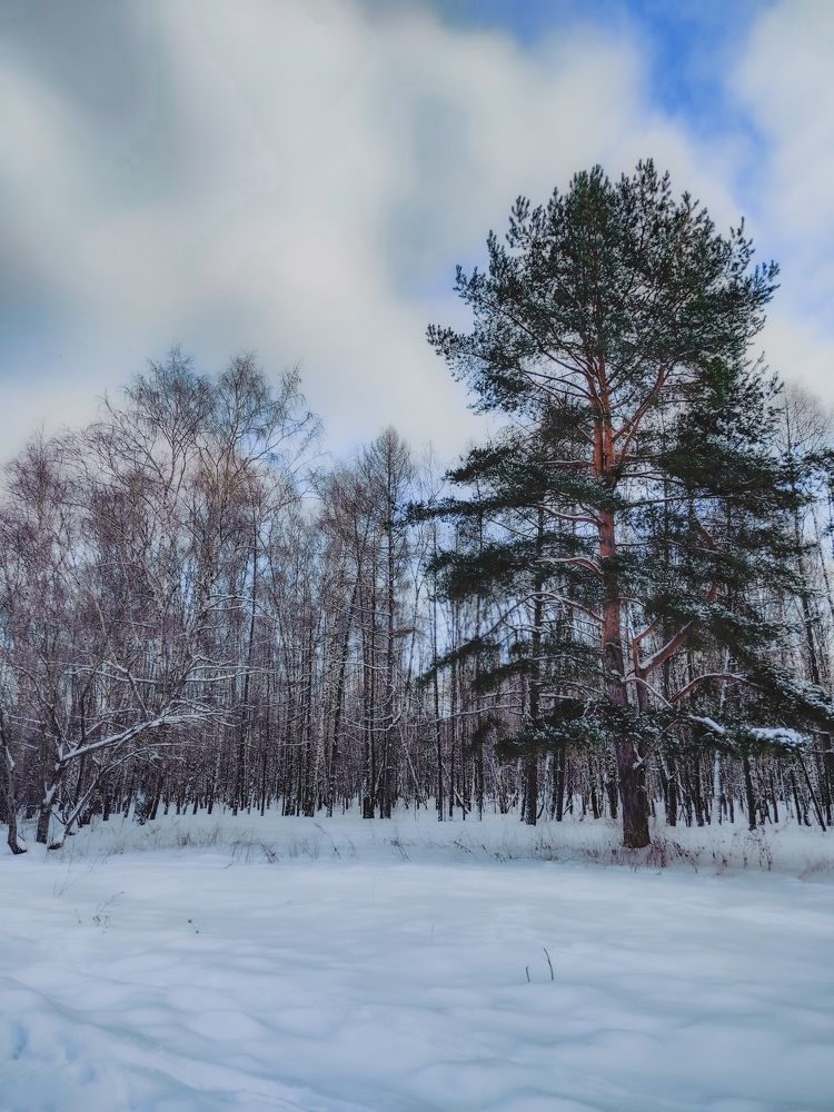 Photograph by Олеся Хижко