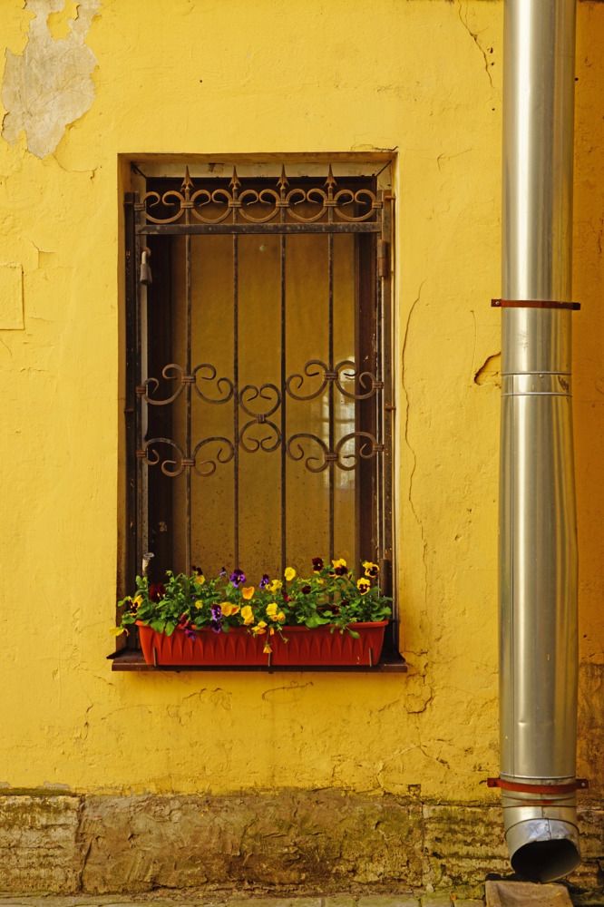 Photograph by Анна Васильева