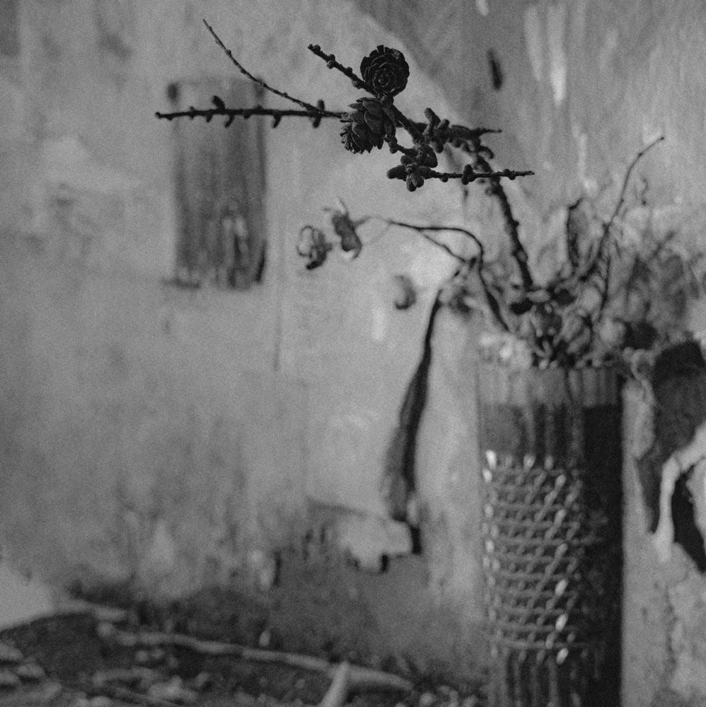 Photograph by Александр Селезнев