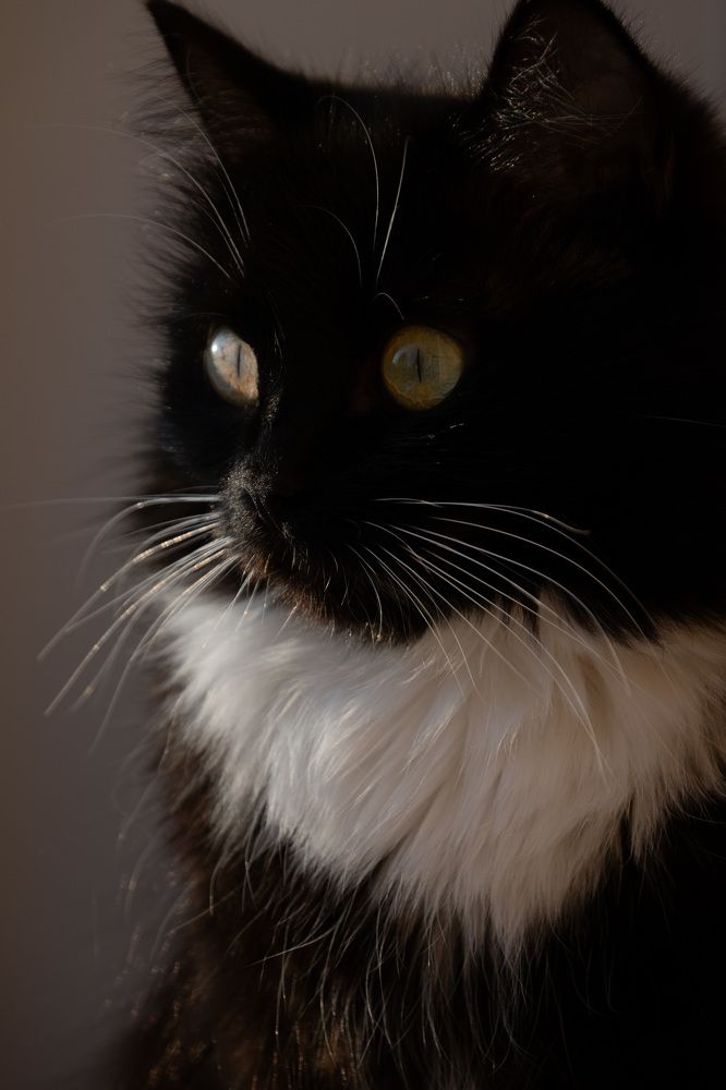 Photograph by Мария Козлова