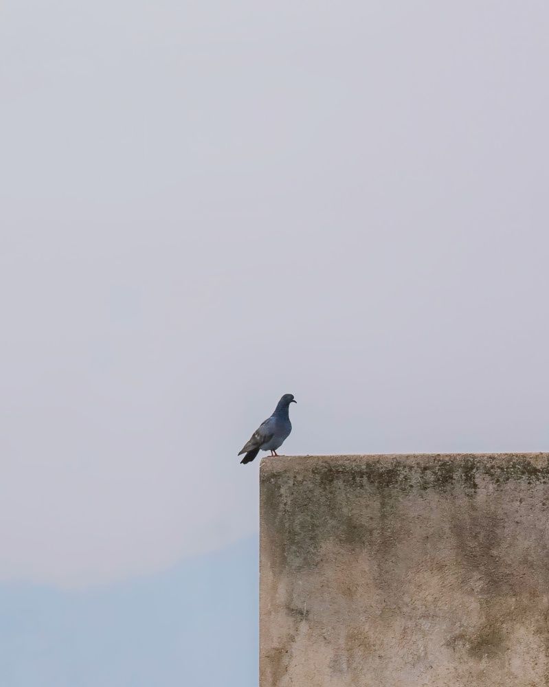 Фотография автора Subham Durgey