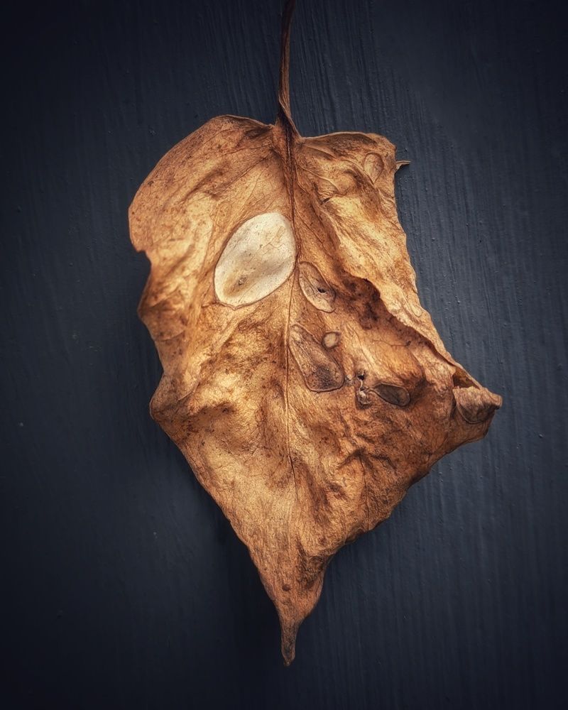 Фотография автора Subham Durgey