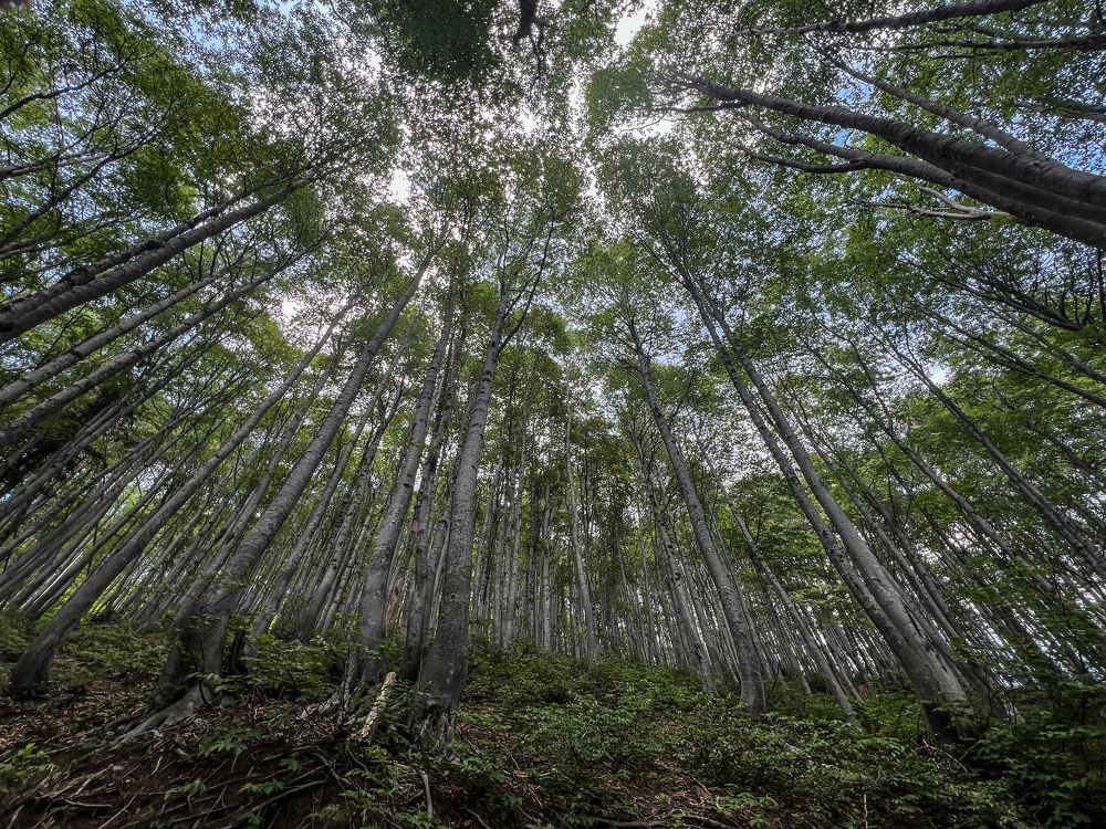 Photograph by Мария Гончарова