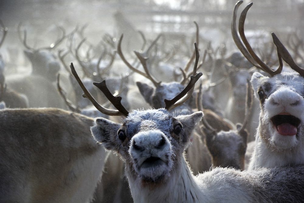 Photograph by Olga Mamadzanova