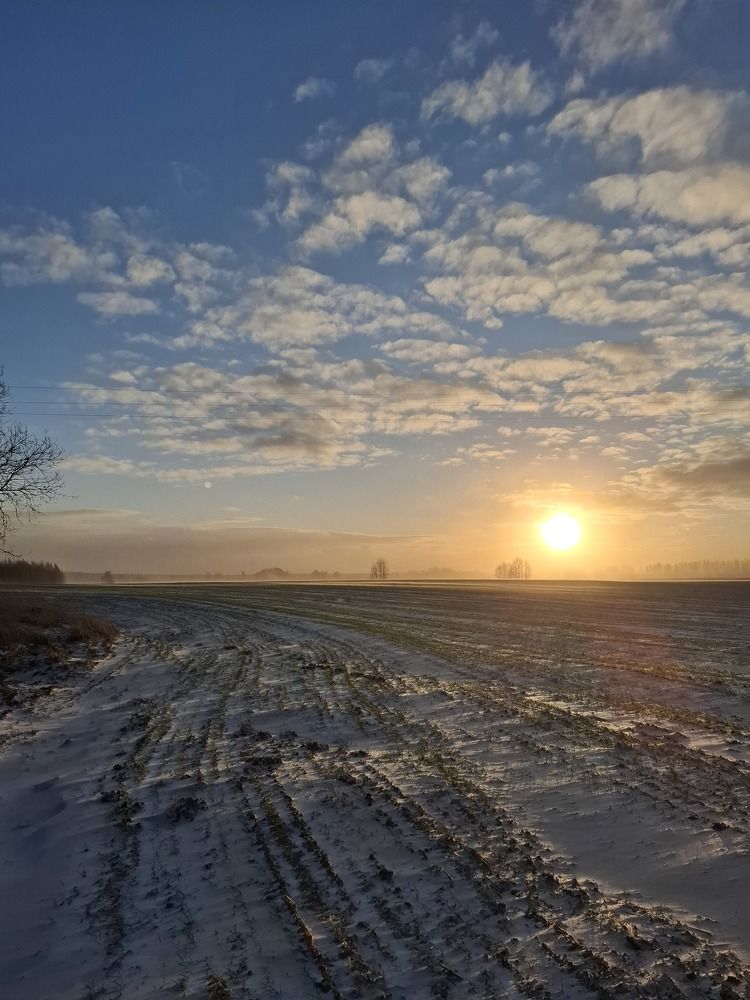 Photograph by Алина