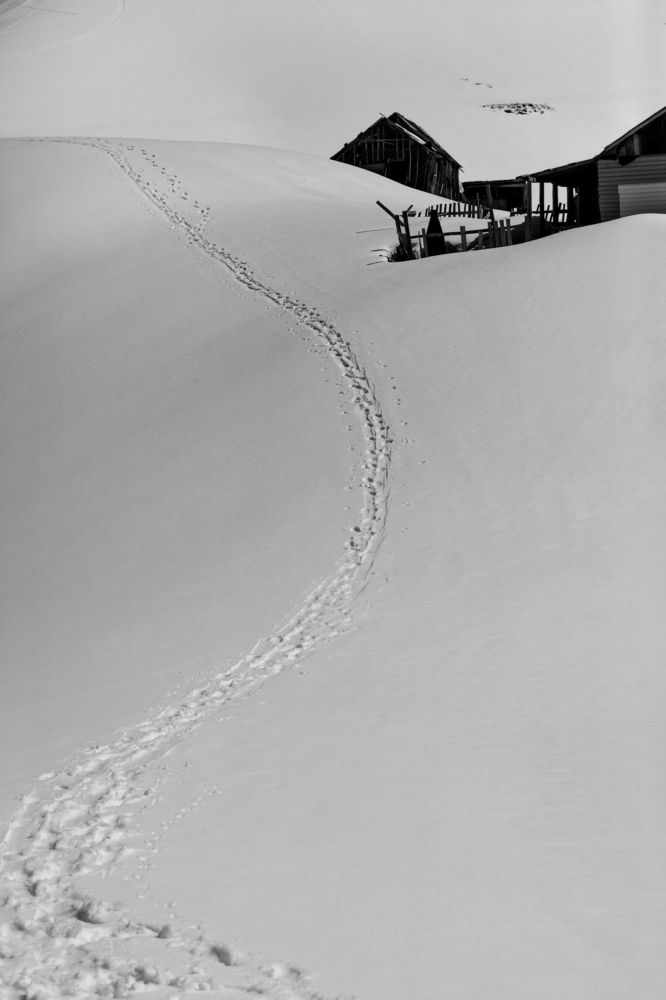 Photograph by Андрей Данилов