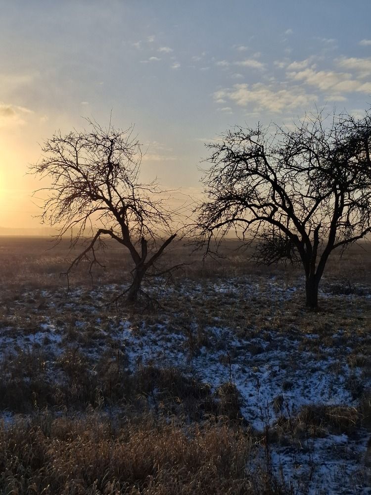 Photo #11691600