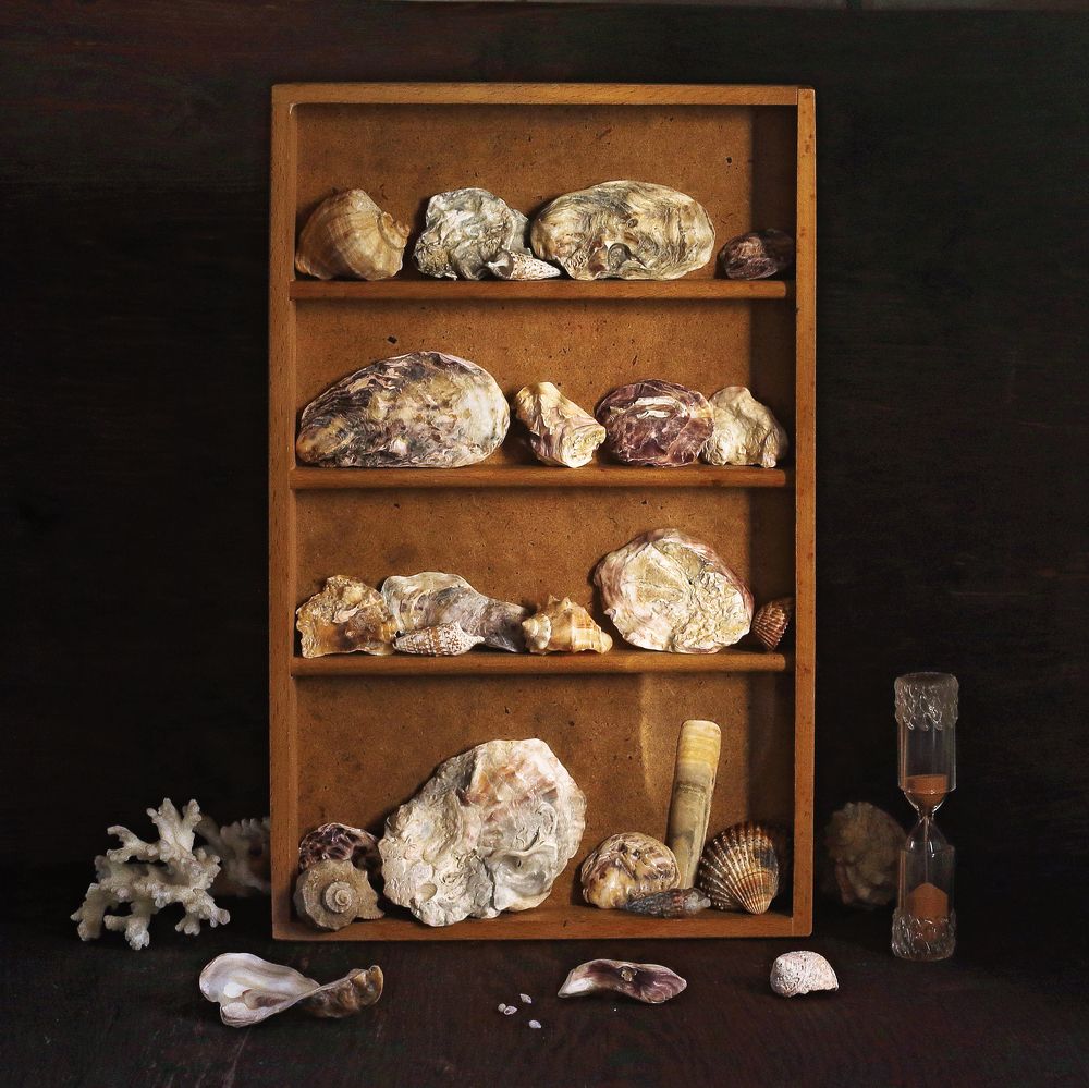 Фотография автора ТАТЬЯНА ЗАХАРОВА