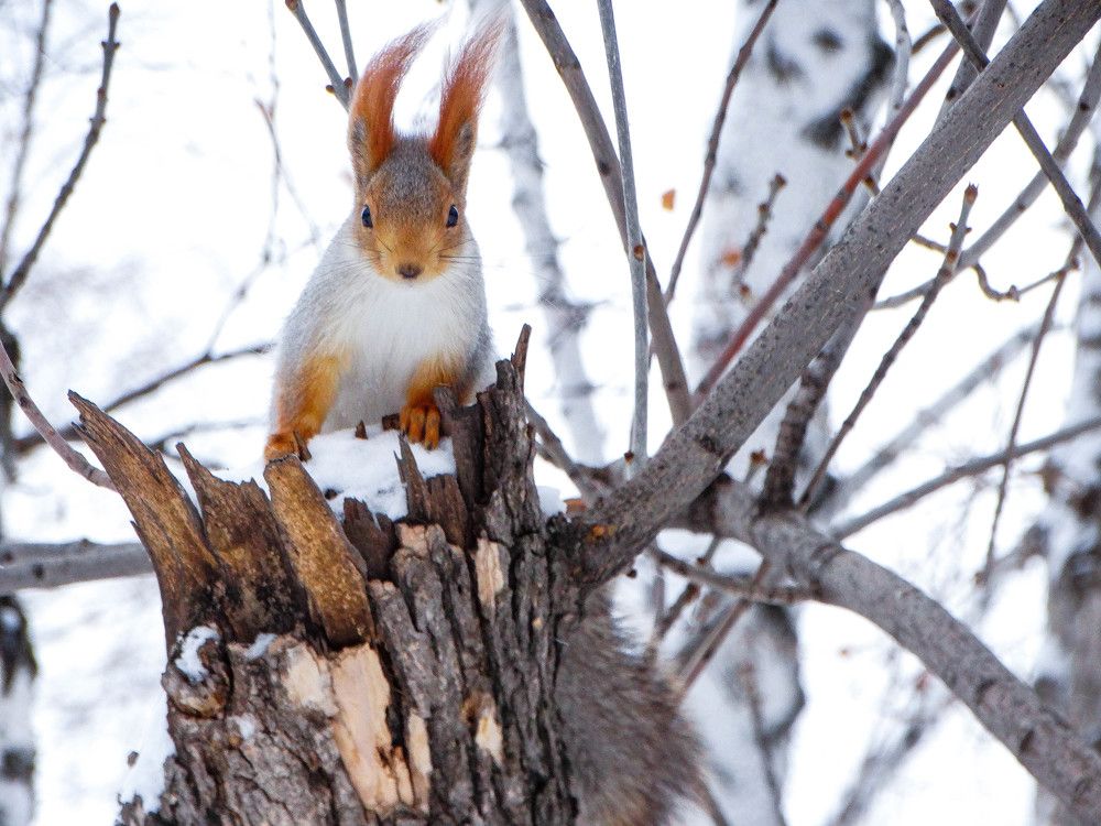 Photograph by Анжелика Трошина