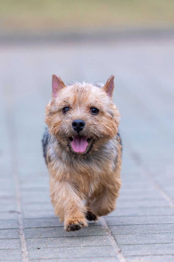 Photograph by Максим Лупач