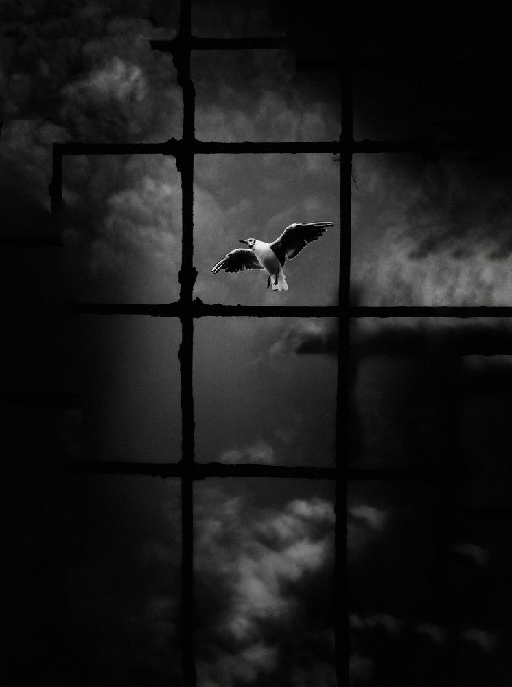 Photograph by Татьяна Максакова