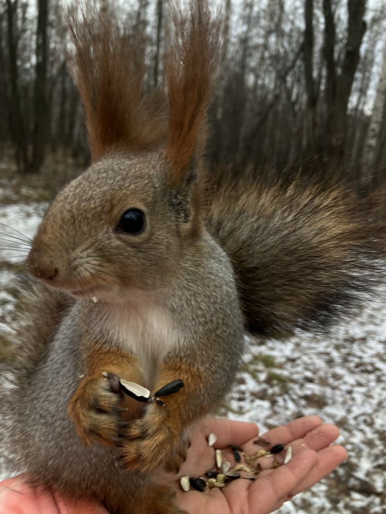 Photograph by Мария Карпычева