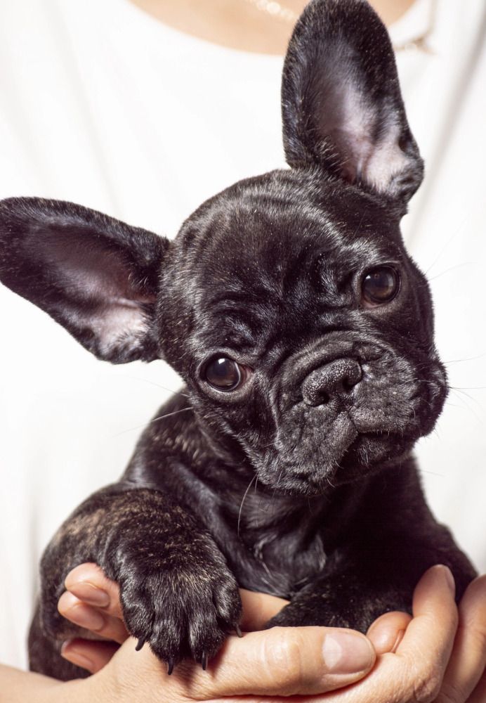 Photograph by Анна Васильева