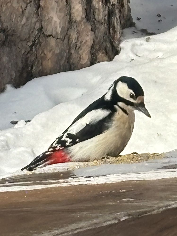 Photograph by Юлия