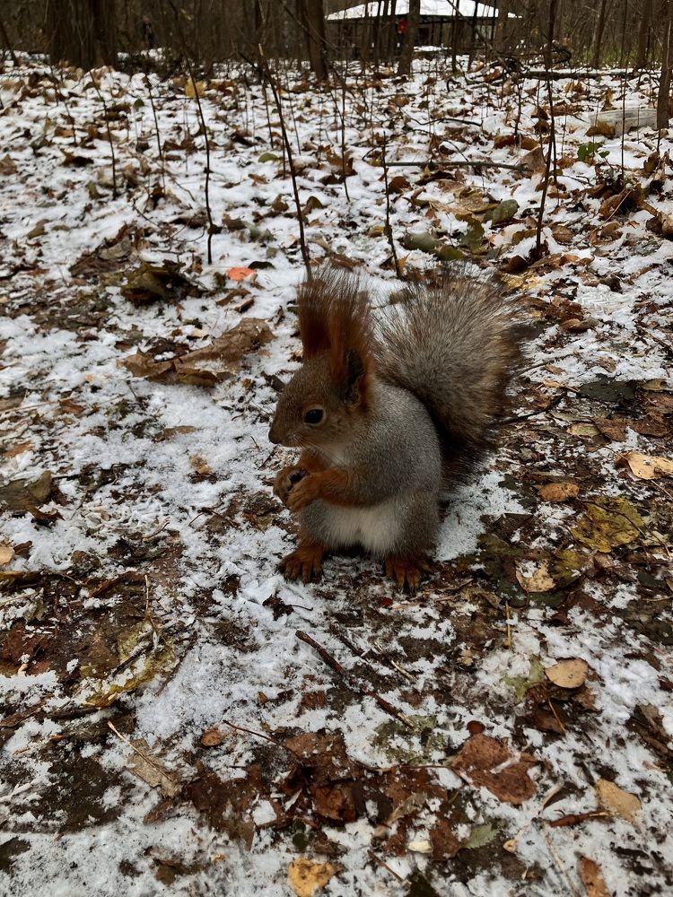 Photograph by Мария Карпычева