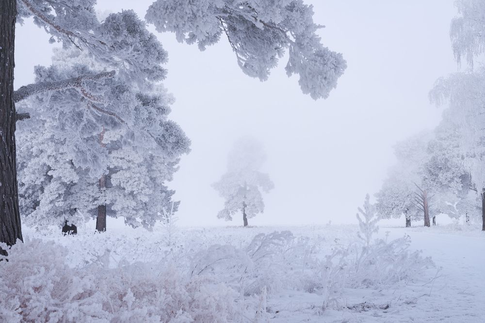 Photograph by Леонтьев Константин