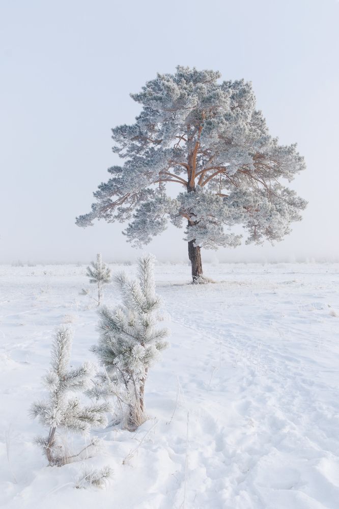 Photograph by Леонтьев Константин