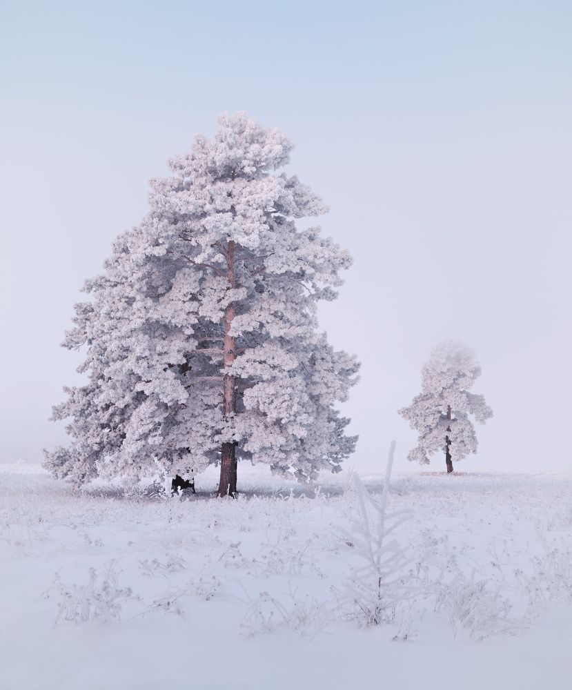 Photograph by Леонтьев Константин