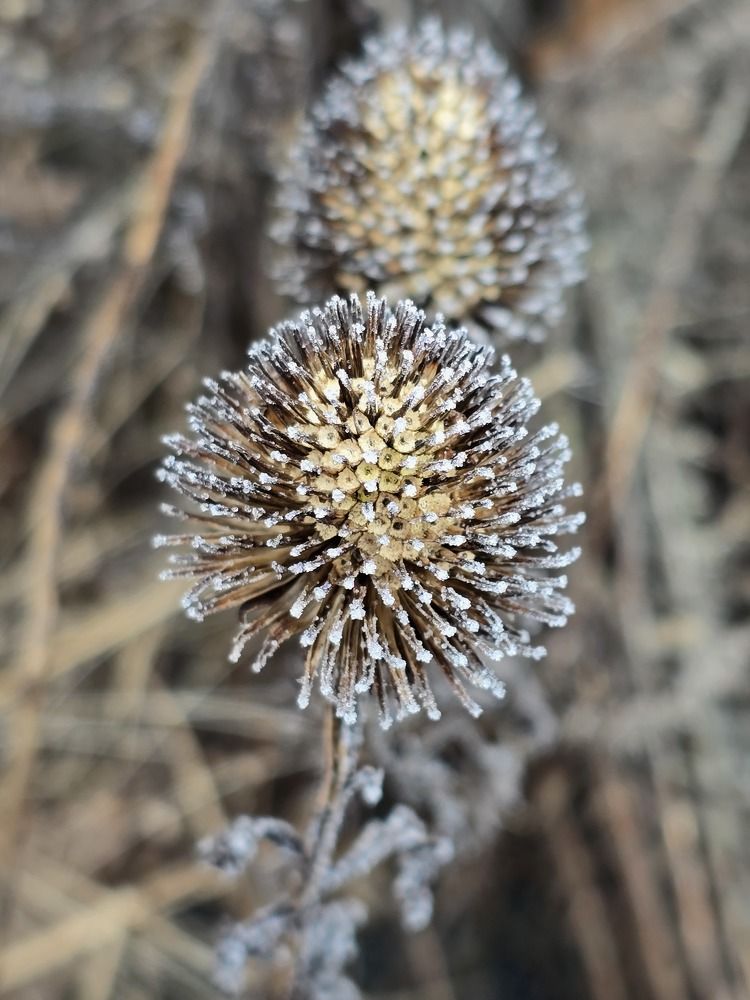 Photograph by Елена Коробейникова
