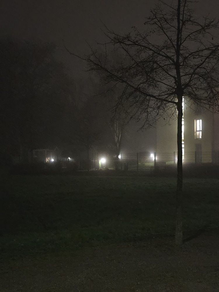 Photograph by Елена Коробейникова