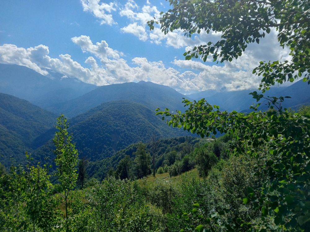 Photograph by Александр Гришин