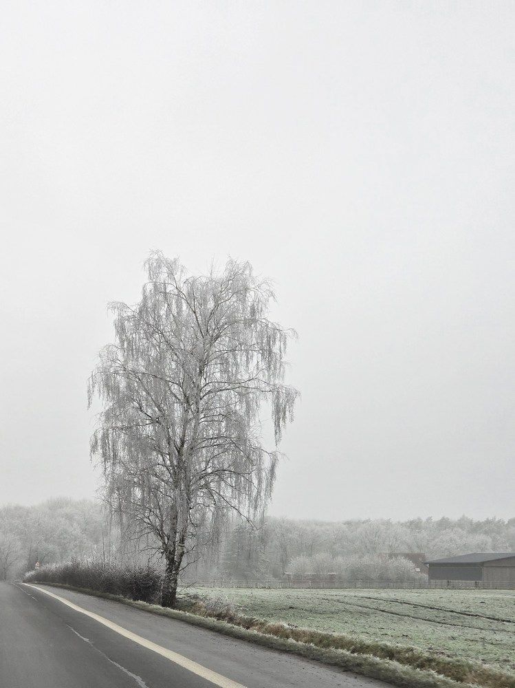 Photograph by Елена Коробейникова