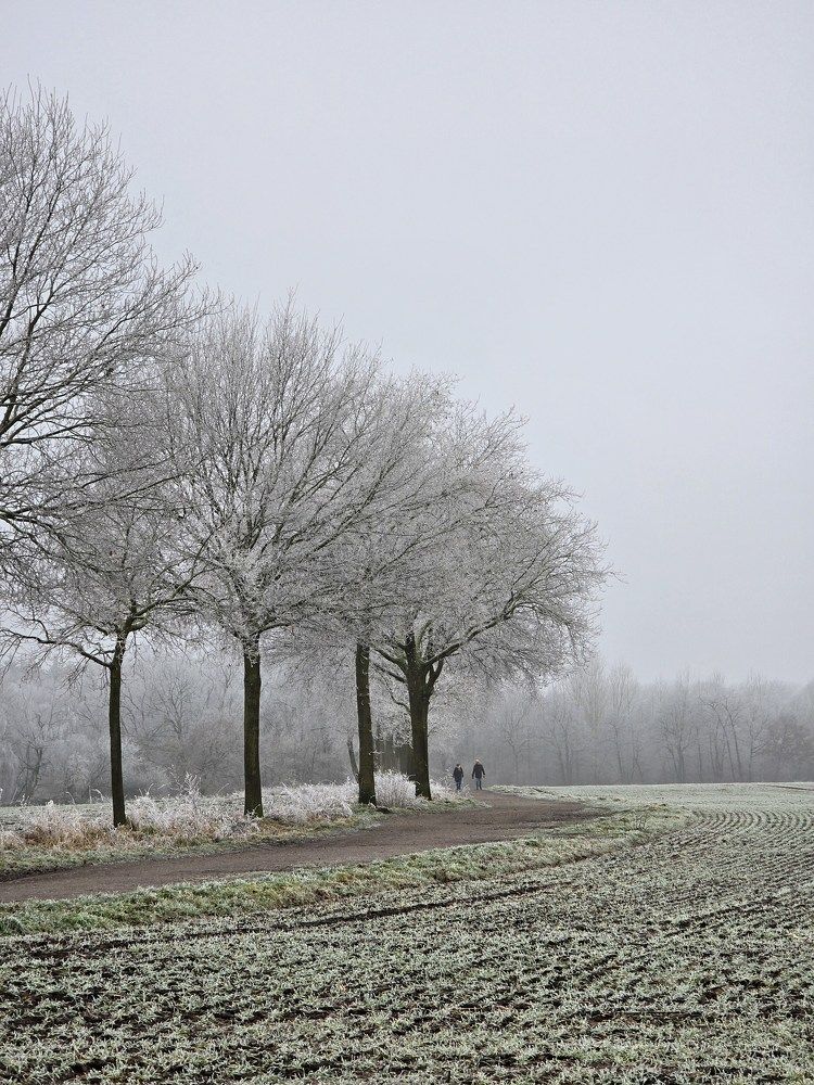 Photograph by Елена Коробейникова