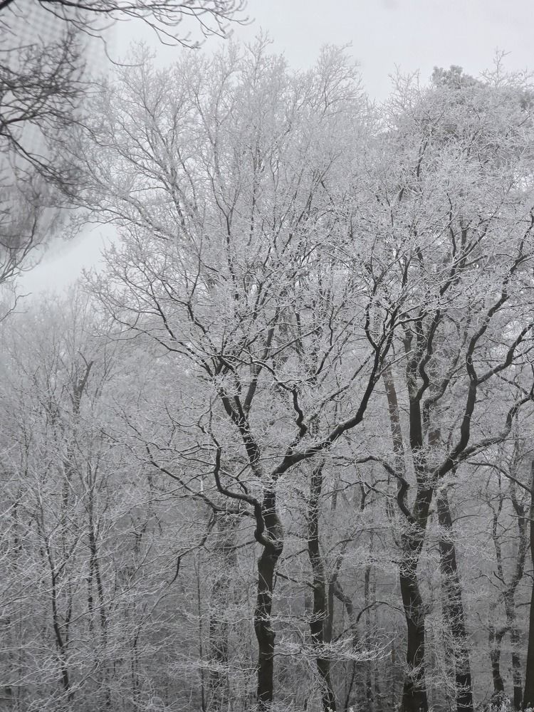 Photograph by Елена Коробейникова