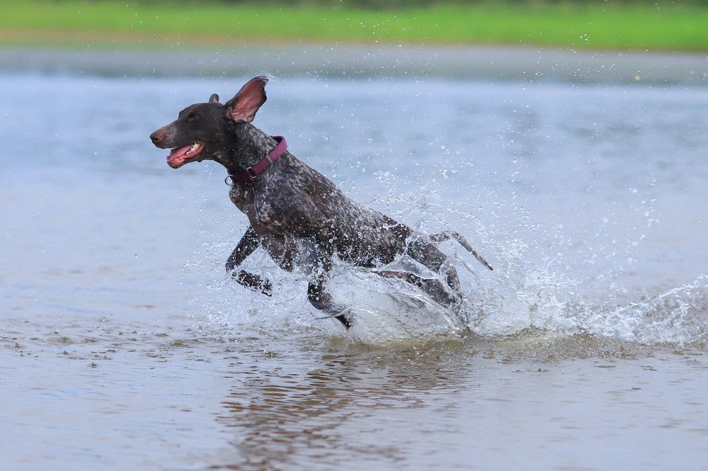 Photograph by Ольга Колобова