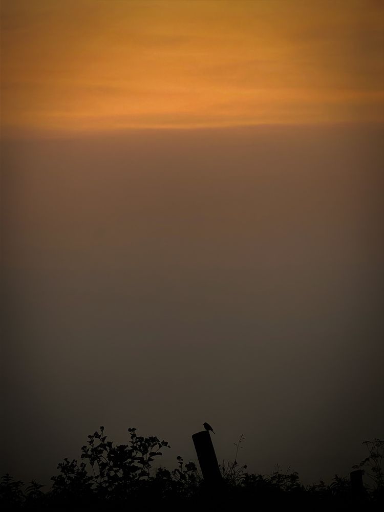 Photograph by Гузель Вильданова