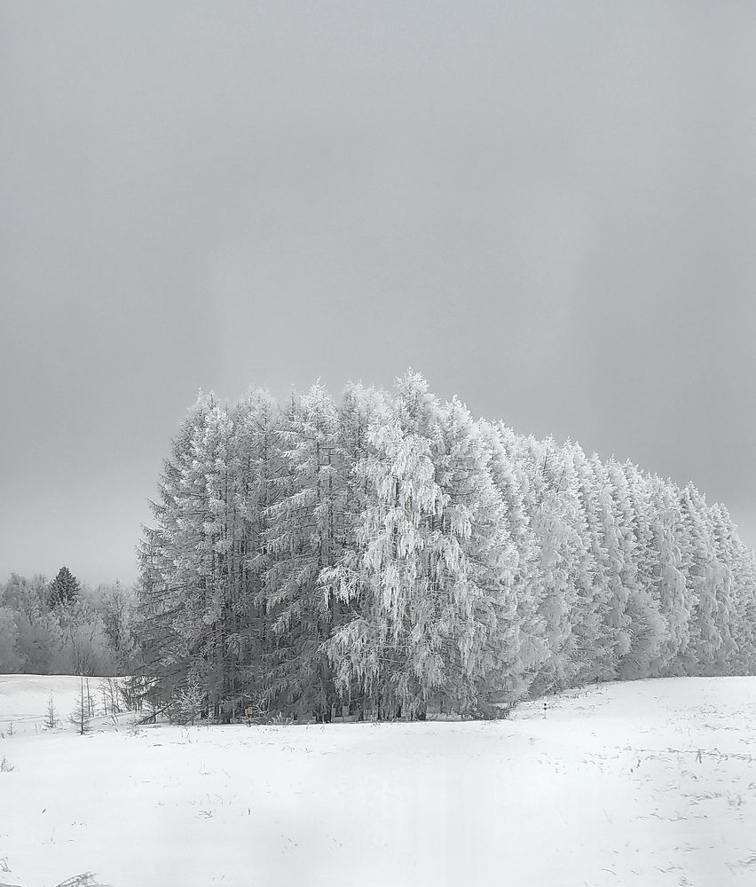 Photograph by Гузель Вильданова
