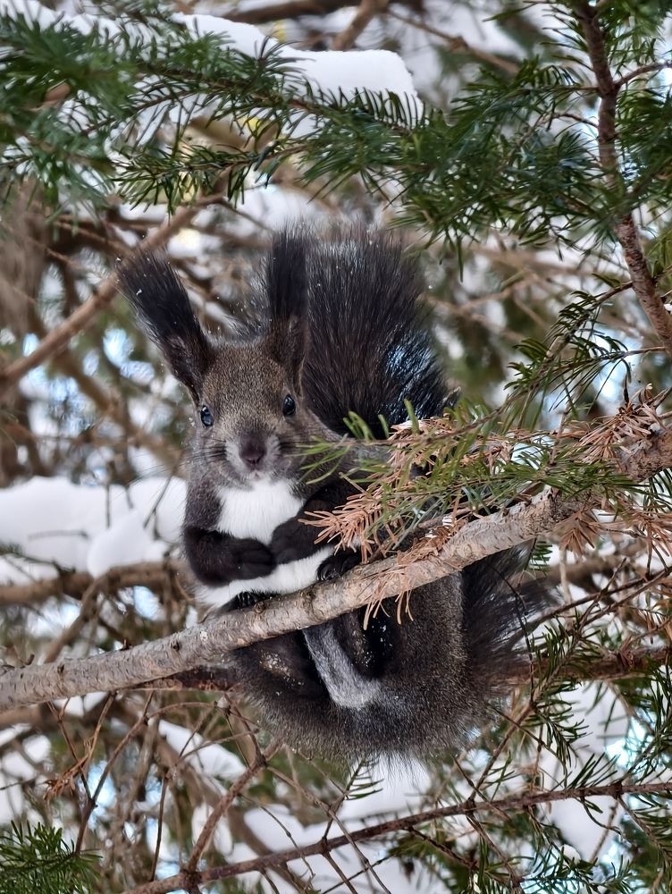 Фотография автора Илья