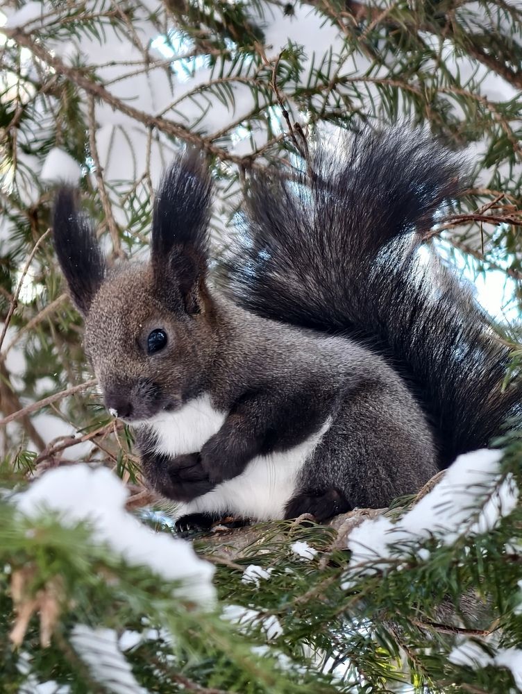 Фотография автора Илья