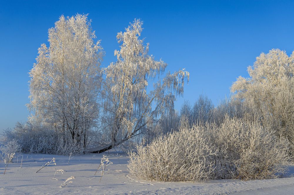 Photograph by виктор ковчин