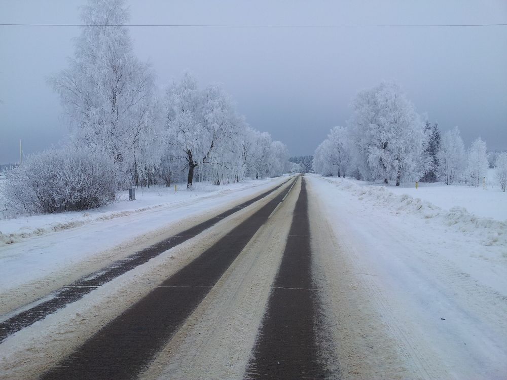 Photo #11692071