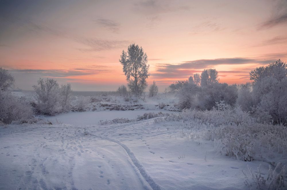 Photograph by Светлана Крат