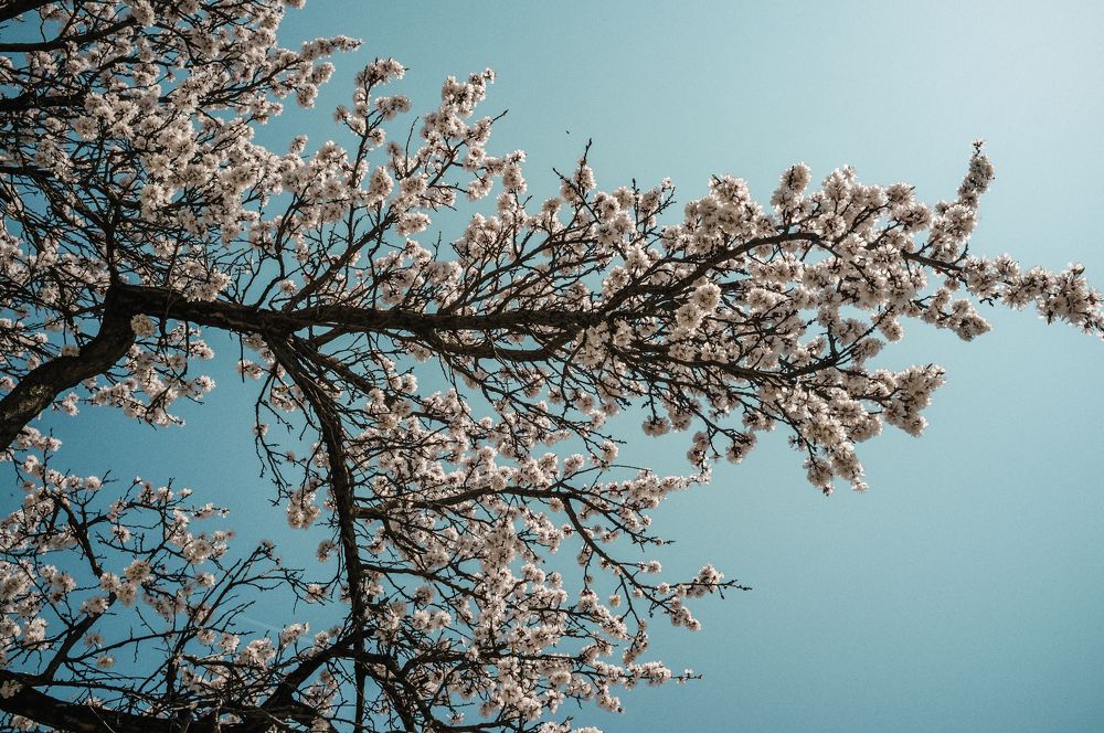 Photograph by Борис