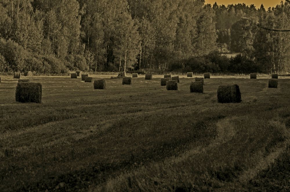 Photograph by Сергей Бабанов