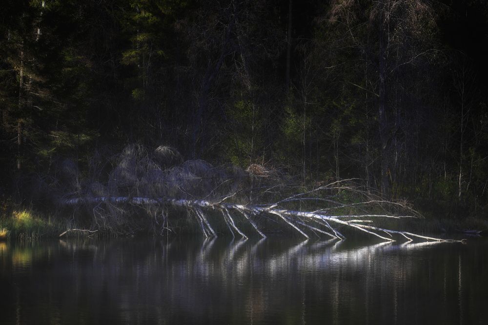 Фотография автора Павел Мартюшев
