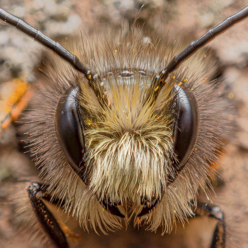 Photograph by Marianna Klein